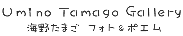 C삽܂ M[